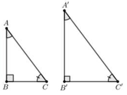 Trong các phương án sau, phương án nào chứa hình có hai tam giác vuông không bằng nhau? (ảnh 4)