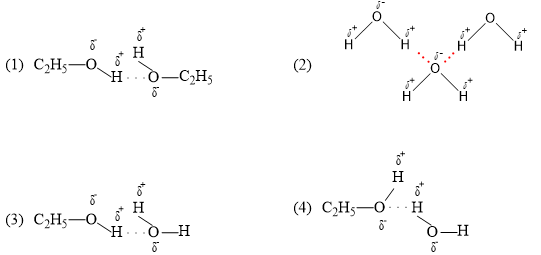 Trong dung dịch ethanol (C2H5OH) có bao nhiêu loại liên kết hydrogen được  (ảnh 1)