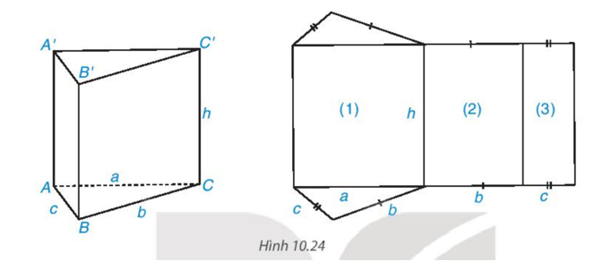 Quan sát hình lăng trụ đứng tam giác ABC.A’B’C’ và hình khai triển của nó. (ảnh 1)