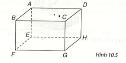 Gọi tên các đỉnh, cạnh, đường chéo, mặt của hình hộp chữ nhật trong Hình 10.5. (ảnh 1)