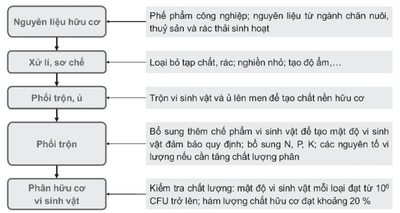 Hãy tìm hiểu và đề xuất một quy trình công nghệ sản xuất phân bón hữu cơ vi sinh vật. (ảnh 1)