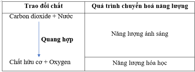 Bảng 18.1. Mối quan hệ giữa trao đổi chất và chuyển hóa năng lượng trong quá trình (ảnh 2)