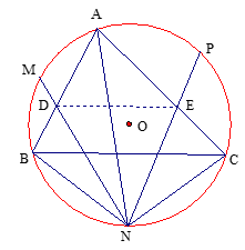 Tam giác ABC nội tiếp đường tròn tâm O. Các điểm M, N, P là điểm chính giữa của các cung AB, BC, CA. (ảnh 1)