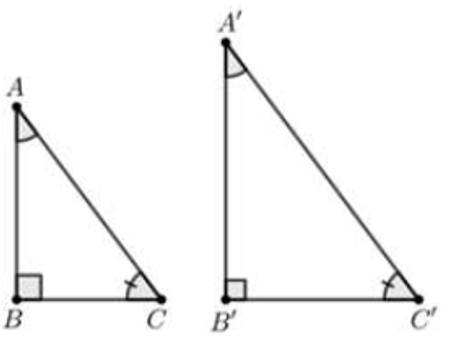 Trong các phương án sau, phương án nào chứa hình có hai tam giác vuông không bằng nhau (ảnh 4)