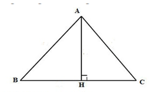 Chiều cao của tam giác ứng với một cạnh của nó có phải là khoảng cách từ đỉnh đối diện (ảnh 1)