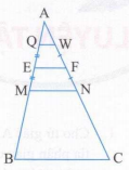 Ở hình sau, cho biết MN là đường trung bình của tam giác ABC, EF là đường trung bình của hình thang QWNM. Biết BC = 20 cm, EF = 3x, QW = x. (ảnh 1)