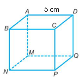 Thể tích hình lập phương có cạnh dài 5 cm là: A. 25 cm3 B. 125 cm2 C. 125 cm3 D. 20 cm2 (ảnh 1)