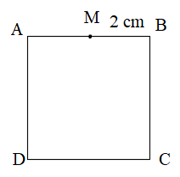 Cho hình vuông ABCD có M là trung điểm của đoạn thẳng AB, biết BM = 2 cm.  (ảnh 1)