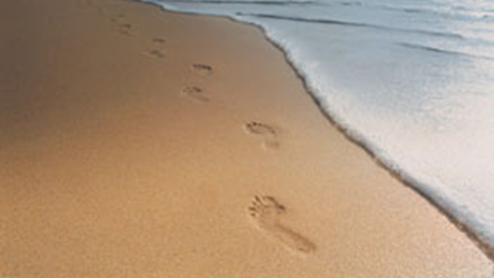 Khi bước đi trên cát, người ta đã tác dụng (ảnh 1)