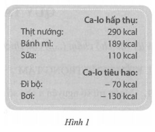 Mỗi người khi ăn thì sẽ hấp thụ ca-lo và khi hoạt động thì sẽ tiêu hao ca-lo (ảnh 1)