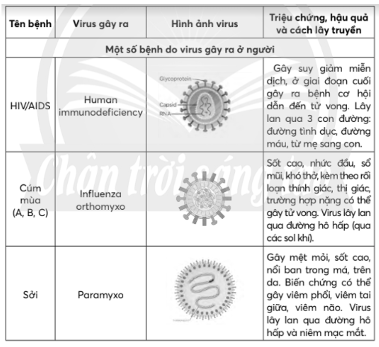 Hãy liệt kê một số bệnh do virus gây ra ở thực vật, động vật và người (ảnh 1)
