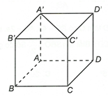 Cho hình lập phương ABCD.A'B'C'D'. Góc giữa A'C' và mặt phẳng (BCC'B') bằng A. 45 độ. B. 0 độ. C. 90 độ. (ảnh 1)