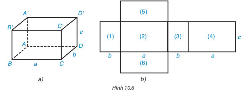 Quan sát hình hộp chữ nhật (H.10.6a) và hình triển khai của nó (H.10.6b). Hãy chỉ ra sự tương (ảnh 1)