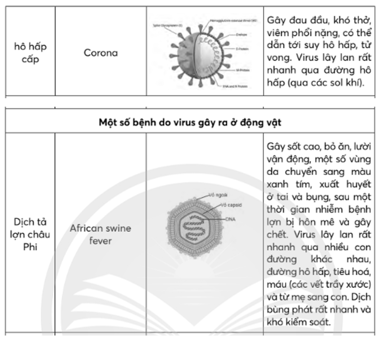 Hãy liệt kê một số bệnh do virus gây ra ở thực vật, động vật và người (ảnh 2)