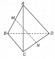 Cho tứ diện đều ABCD cạnh a. Gọi M là trung điểm của BC. Côsin của góc giữa hai đường thẳng (ảnh 1)