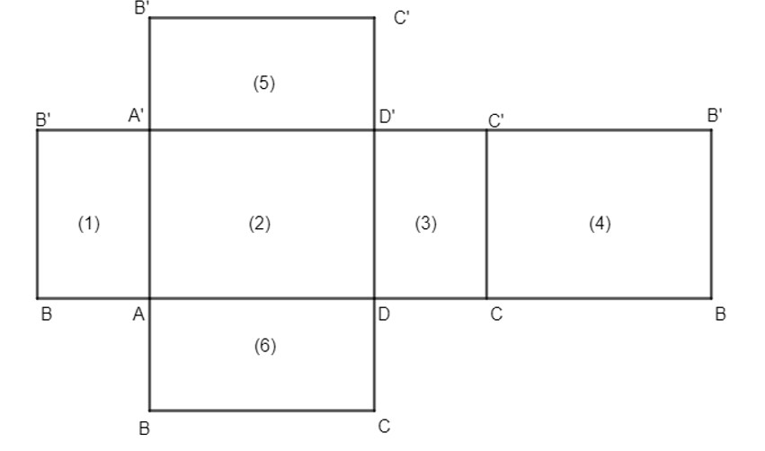 Quan sát hình hộp chữ nhật (H.10.6a) và hình triển khai của nó (H.10.6b). Hãy chỉ ra sự tương (ảnh 2)