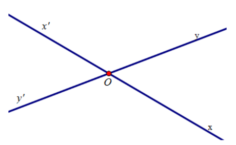 Cho hai đường thẳng xx' và yy' giao nhau tại O sao cho  góc xOy= 45°. Chọn câu sai: (ảnh 1)