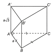 Cho hình lăng trụ đứng ABC.A'B'C' có tam giác ABC đều cạnh a, AA' = căn bậc 2 (3) a. Góc giữa đường (ảnh 1)