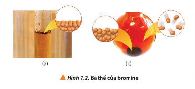 Quan sát Hình 1.2, cho biết ba thể của bromine tương ứng với mỗi hình (a), (b) và (c). (ảnh 1)