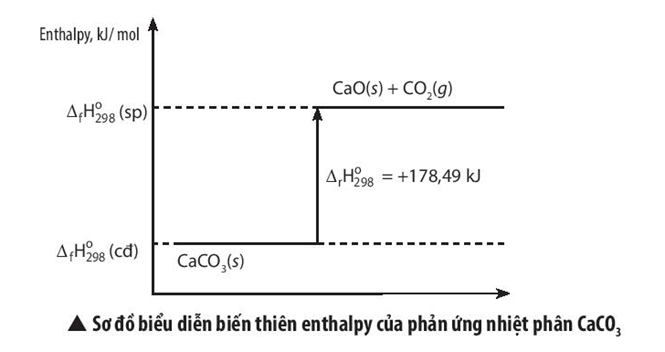 Vận dụng để vẽ sơ đồ biểu diễn biến thiên enthalpy của phản ứng nhiệt phân (ảnh 1)