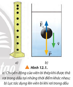Quan sát hình 12.1, vẽ vectơ lực cản của dầu tác dụng lên viên bi và mô tả chuyển động của viên bi khi được thả không vận tốc đầu vào dầu. (ảnh 1)