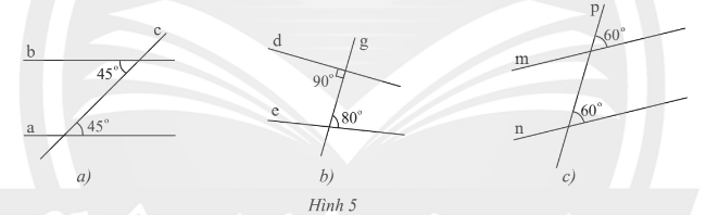 Tìm các cặp đường thẳng song song trong Hình 5 và giải thích. (ảnh 1)