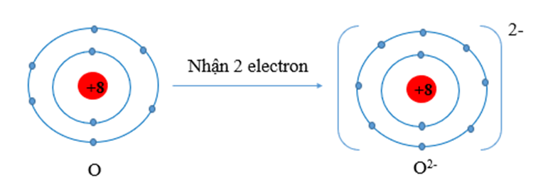 Nguyên tử nguyên tố nào sau đây có xu hướng nhận thêm 2 electron khi hình thành  (ảnh 1)