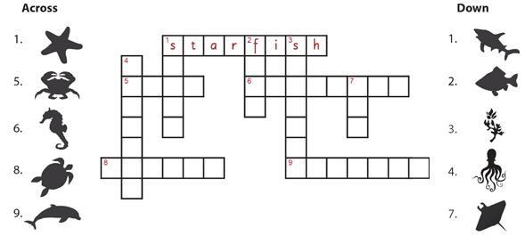 Complete the crossword puzzle Hoàn thành câu đố ô chữ (ảnh 1)