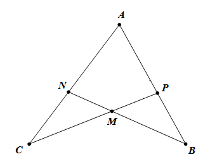 Cho hình sau, cần thêm điều kiện gì để tam giác ACP = tam giác ABN theo trường hợp cạnh- góc- cạnh (ảnh 1)