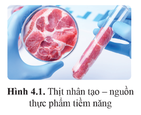 “Thịt nuôi cấy” (thịt nhân tạo, hình 4.1) được sản xuất như thế nào? Sản xuất thịt nuôi (ảnh 1)