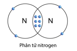 Cho mô hình phân tử N2 như sau Số cặp electron dùng chung giữa hai  (ảnh 1)