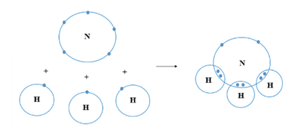 Vẽ sơ đồ hình thành liên kết cộng hóa trị trong phân tử ammonia NH3 và cho biết  (ảnh 1)