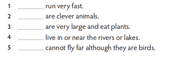 Use the animals from Exercise 1 to complete the sentences with (plural) animals. (ảnh 1)