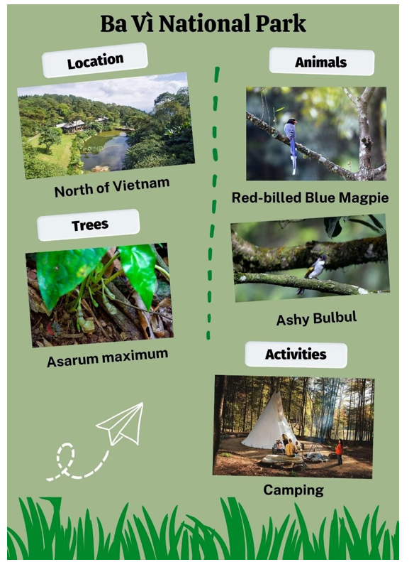 Collect information about one national park you know in Vietnam. Think about (ảnh 1)