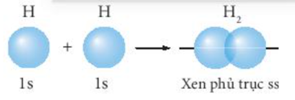 Liên kết trong phân tử H2 tạo ra là do A. sự xen phủ của AO 2s và AO 2p. (ảnh 2)