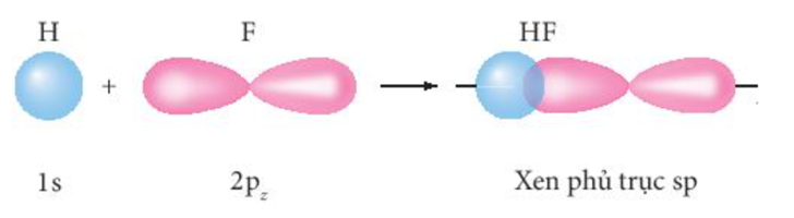 Liên kết sigma trong phân tử HF tạo thành do A. sự xen phủ của AO 1s của H (ảnh 3)