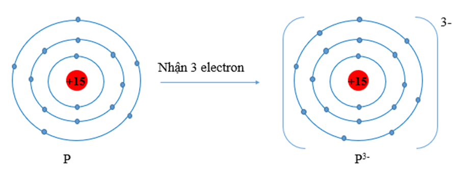 Nguyên tử Y có xu hướng nhận 3 electron để đạt được lớp electron ngoài cùng  (ảnh 1)