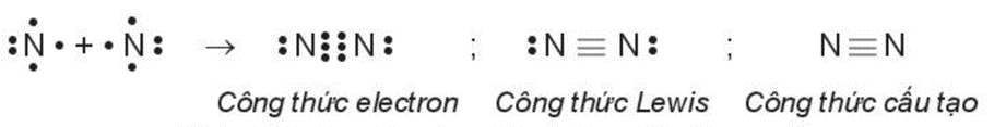 Công thức cấu tạo của N2 là A. NN. B. N=N. C. N nối ba N D. N suy ra N (ảnh 1)