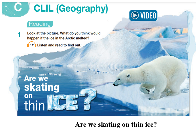 Look at the picture. What do you think would happen if the ice in the Arctic melted? (ảnh 1)