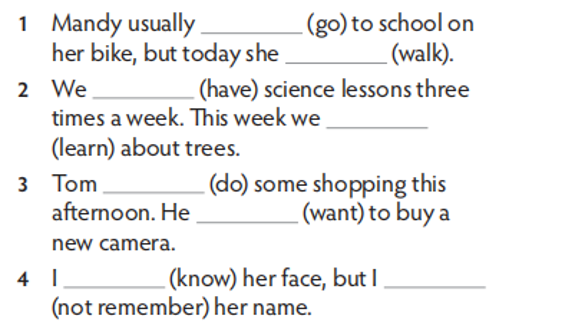 Complete the sentences. Use the present simple or present continuous form of the verbs (ảnh 1)