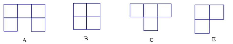 Cho các hình sau:    Trong các hình trên, hai hình có diện tích bằng nhau là: (ảnh 1)