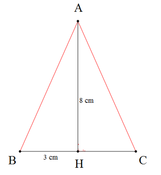 Cho ∆ABH = ∆ACH (hình vẽ). Biết AH = 8 cm, BH = 3 cm. Diện tích tam giác AHC là (ảnh 1)