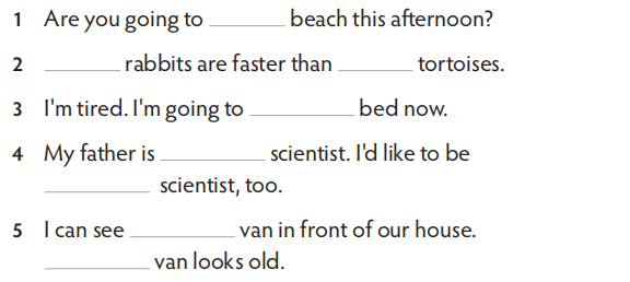 Fill in the blank with a, an, the or zero article (∅). (Điền vào chỗ trống với a, an, the hoặc không mạo từ (∅).) (ảnh 1)