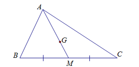 Cho tam giác ABC có M là trung điểm của BC. G là trọng tâm của tam giác và AG = 12 cm.  (ảnh 1)