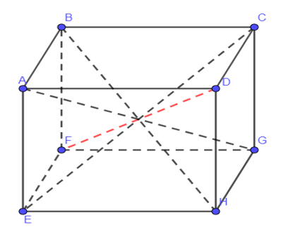 b) Hãy vẽ thêm các đường chéo còn thiếu. (ảnh 1)