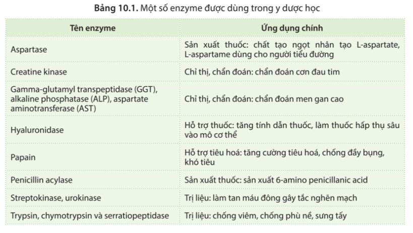 Đọc bảng 10.1 và cho biết enzyme được dùng trong các ứng dụng nào của ngành y dược. (ảnh 1)