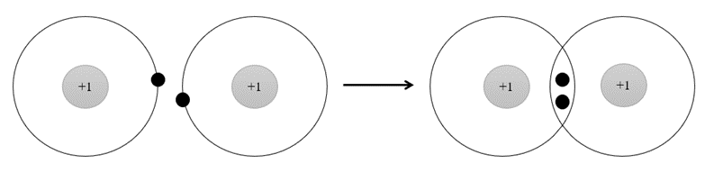 Phân tử H2 được hình thành từ A. 2 nguyên tử H, trong đó 1 nguyên tử H nhận (ảnh 1)