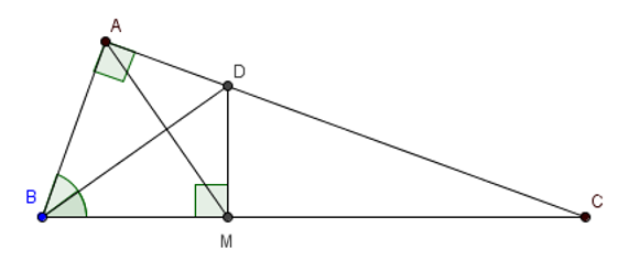 Cho tam giác ABC vuông tại A có AB < AC, kẻ đường phân giác BD của góc ABC (ảnh 1)