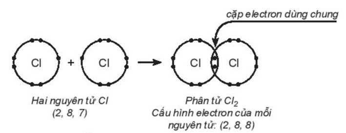 Trong phân tử chlorine (Cl2), hai nguyên tử chlorine liên kết với nhau bằng cách (ảnh 1)