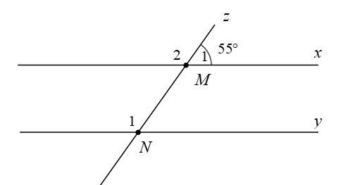 Cho hình vẽ, biết x song song y và số đo của góc M1 là 55 độ. Số đo góc N1 là (ảnh 1)